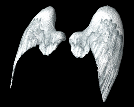 Image of Angel Wings