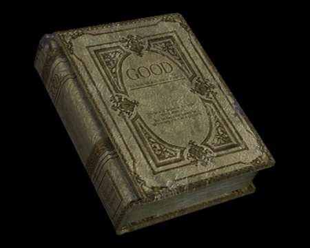 Image of Book of Good
