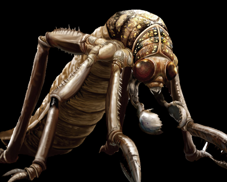 Image of Plague Crawler