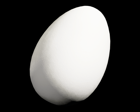 Image of Chicken Egg