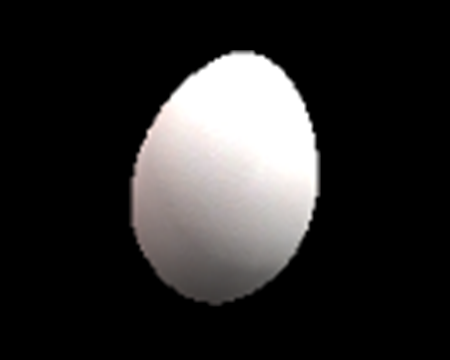 Image of Egg (White)