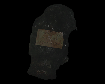 Image of Memo on Deputy's Head