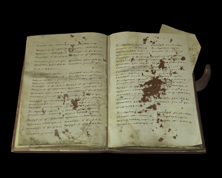 Image of Alcina Dimitrescu's Diary