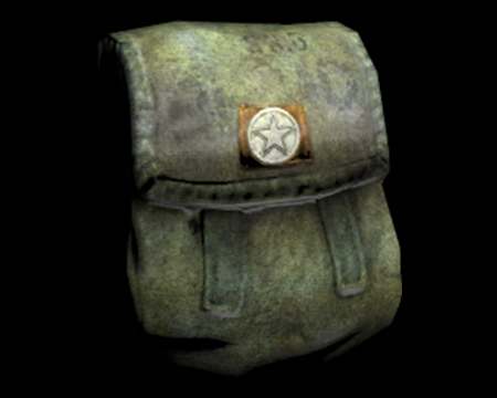 Image of Expansion Bag (Moira)