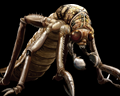 Image of Plague Crawler