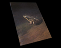 Image of Frog Painting