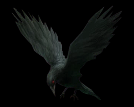 Image of Crow