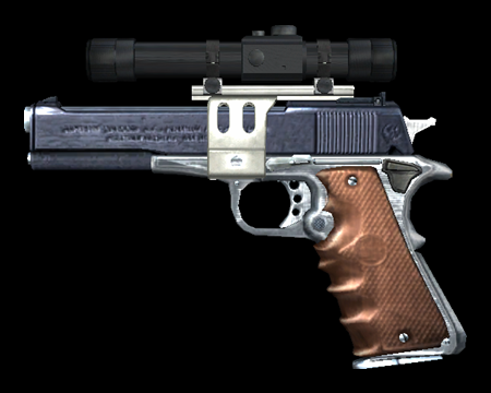 Image of Custom Handgun