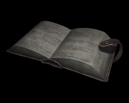 Image of Marcus' Diary 1