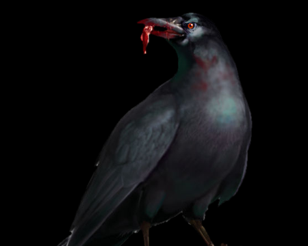 crow.png?aeed4785