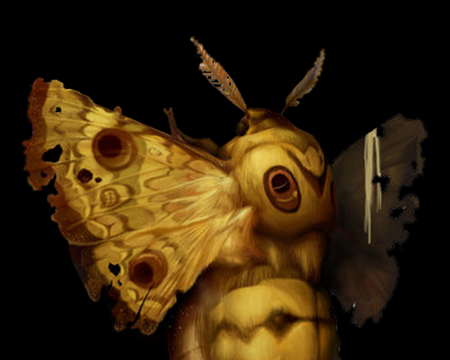 giant-moth.png?8ad58f3a