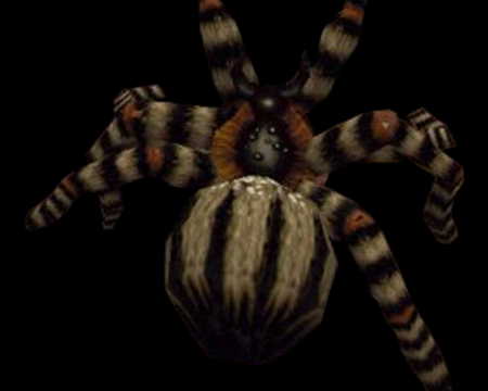 Image of Giant Spider