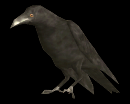 Image of Crow