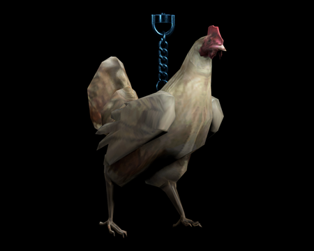 Image of Chicken