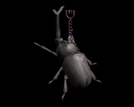 Image of Rhinoceros Beetle