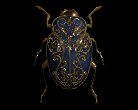 Image of Ornate Beetle
