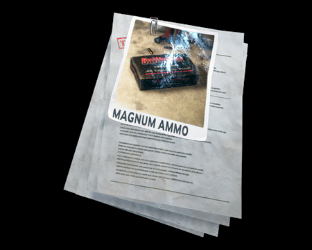 Image of Recipe: Magnum Ammo