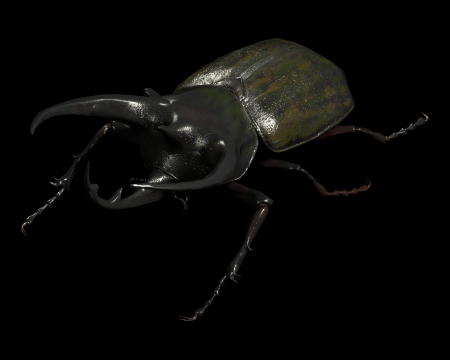 Rhinoceros Beetle Resident Evil 4 Remake Evil Resource Rhinoceros Beetle Resident Evil 4 Remake Evil Resource