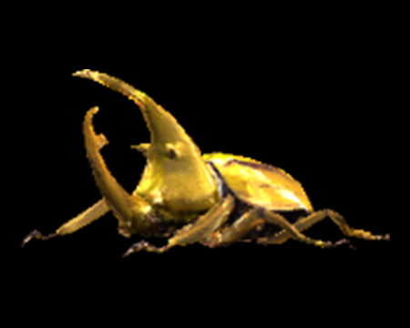 Image of Beetle (Gold)