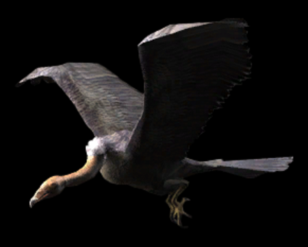 Image of Vulture