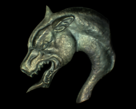 Image of Blue Dog's Head
