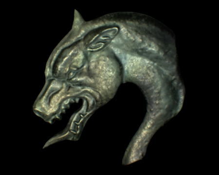 Image of Blue Dog's Head