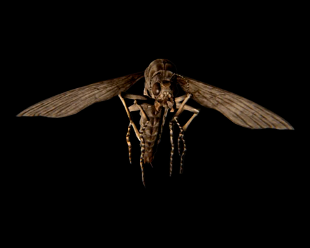 Image of Flying Bug