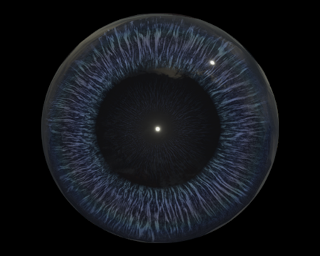 Image of Azure Eye