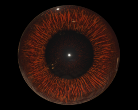 Image of Maroon Eye