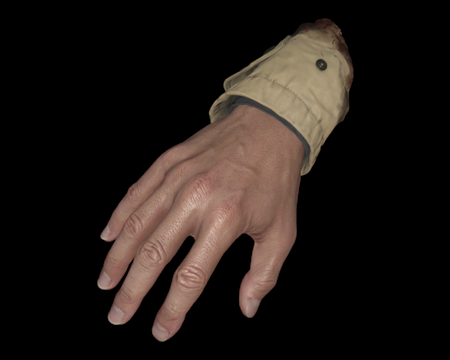 Image of Severed Hand
