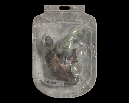 Image of Artificial Heart