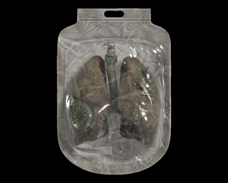 Image of Artificial Lungs