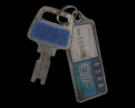 Image of BSAA Container Key