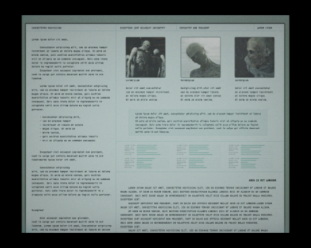 Image of Raccoon City Bioweapon Research - Report
