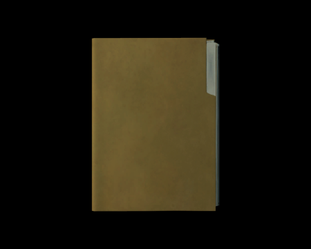 Image of Report on the Raccoon City Incident