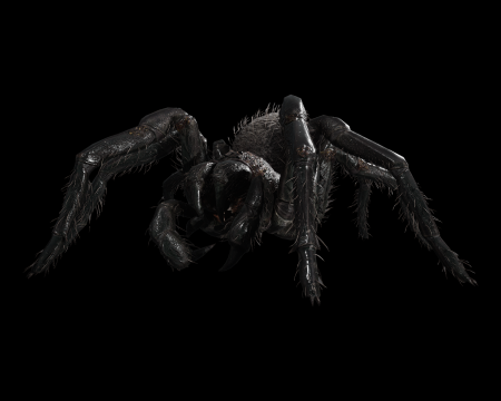 Image of Titan Spinner