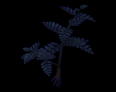 Blue Herb (Resident Evil Code: Veronica) Evil Resource.