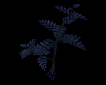 Blue Herb (Resident Evil Code: Veronica) Evil Resource.