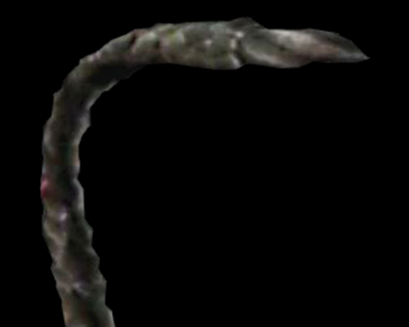 Image of Tentacle