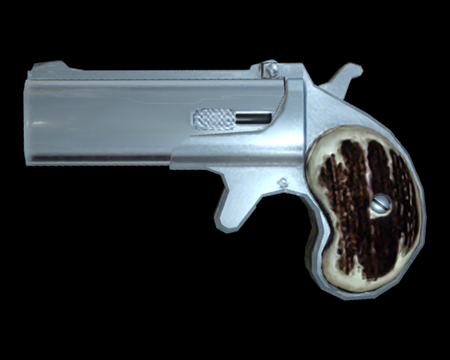 Image of Self Defense Gun