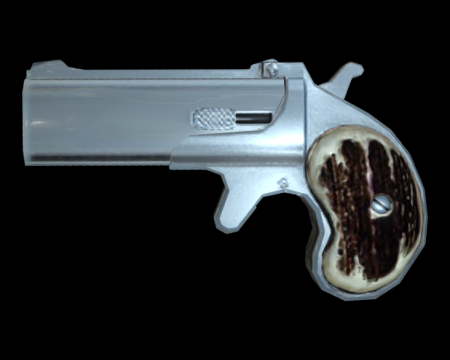 Image of Self Defense Gun