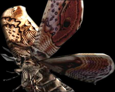 Image of Giant Moth
