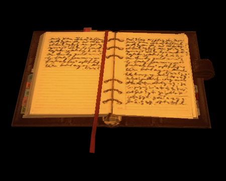 Image of Mysterious Journal