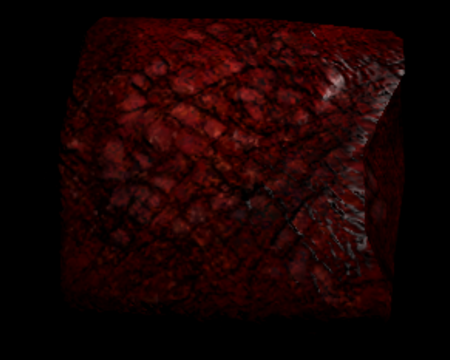 Image of Liver Replica (Left)