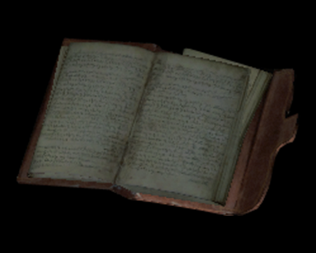 Image of The Old Man's Journal
