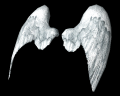 Image of Angel Wings