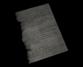 Image of Marcus&#039; Diary 2