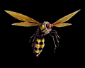 Image of 2 Wasps