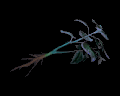 Image of 1 Blue Herb