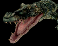 Image of Giant Alligator